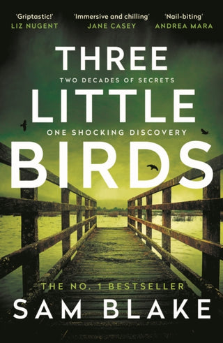 Cover image for 9781805460145 - Three Little Birds