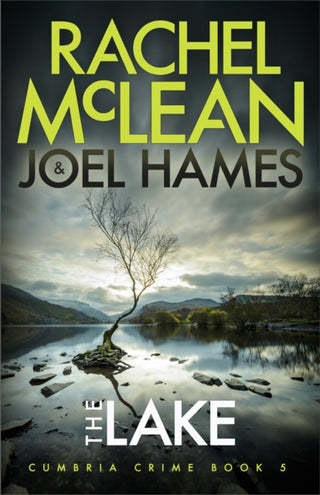 Cover image for 9781835601877 - The Lake