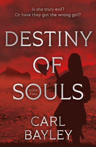 Cover image for 9781836281955 - Destiny of Souls