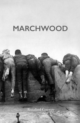 Cover image for 9781836283393 - Marchwood