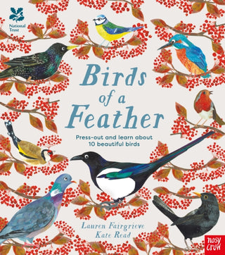 Cover image for 9781839942723 - National Trust: Birds of a Feather: Press out and learn about 10 beautiful birds