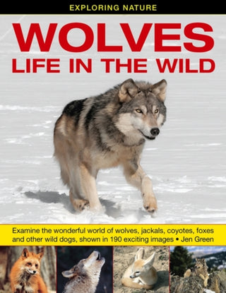 Cover image for 9781861473950 - Exploring Nature: Wolves - Life in the Wild