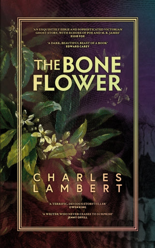 Cover image for 9781913547271 - The Bone Flower
