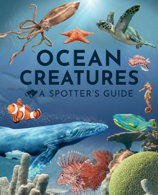 Cover image for 9781915588395 - Ocean Creatures: A Spotter's Guide