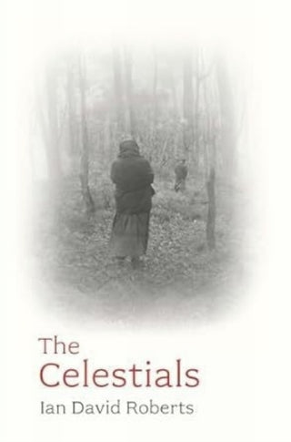 Cover image for 9781922952806 - The Celestials