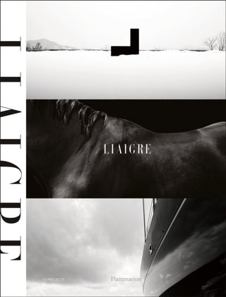 Cover image for 9782080467942 - Liaigre: 12 Projects