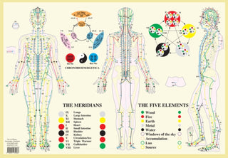 Cover image for 9789491974038 - Meridians / Five Elements -- A2