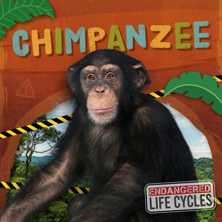 Cover image for 9798893593945 - Chimpanzee