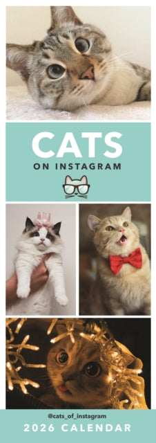 Cover image for 5020211312414 - Cats On Instagram Slim Calendar 2026