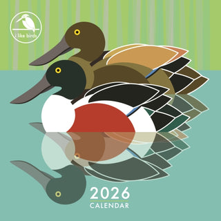 Cover image for 5020211312582 - I Like Birds Square Wall Calendar 2026