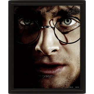Supplemental image for 5051265850065 - Harry Potter (Harry Vs Voldemort) - Framed
