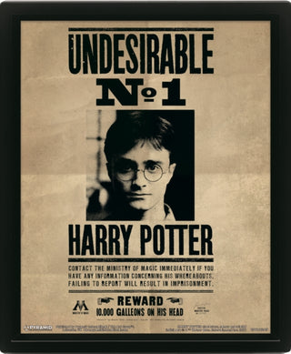 Supplemental image for 5051265970169 - Harry Potter (Harry & Sirius) Framed 10 x 8" 3D Lenticular Poster (Framed)
