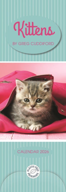 Cover image for 5056308207073 - Kittens By Greg Cuddiford Slim Calendar