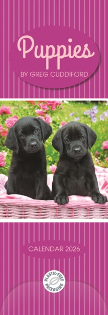 Cover image for 5056308207097 - Puppies By Greg Cuddiford Slim Calendar