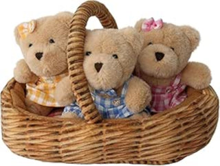 Cover image for 5060711731476 - Teddy Bears' Picnic
