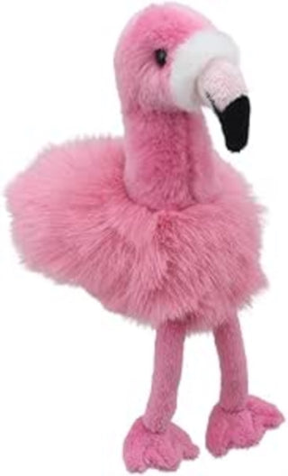 Cover image for 5060711737690 - Flamingo