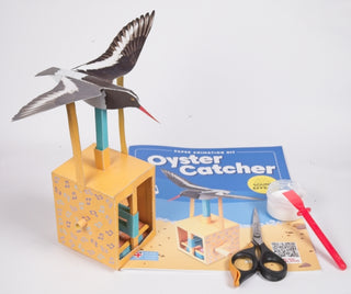 Supplemental image for 5065019252005 - Oyster Catcher -Rob Ives Paper Animation Kit