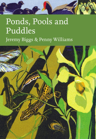 Cover image for 9780002200851 - Ponds, Pools and Puddles