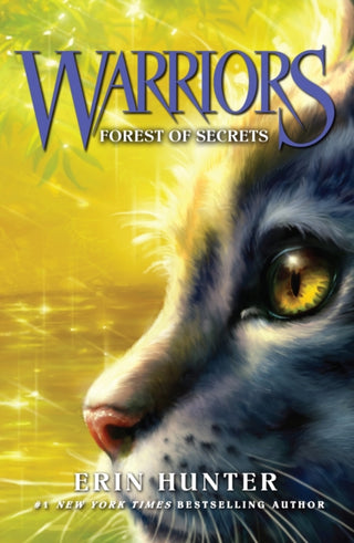 Cover image for 9780007140046 - Forest of Secrets