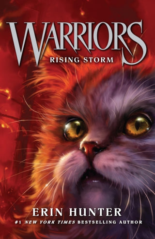 Cover image for 9780007140053 - Rising Storm