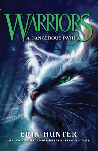 Cover image for 9780007140060 - A Dangerous Path