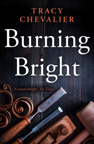 Cover image for 9780007178360 - Burning Bright