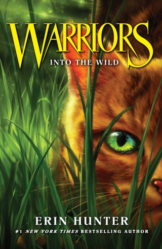 Cover image for 9780007217878 - Into the Wild