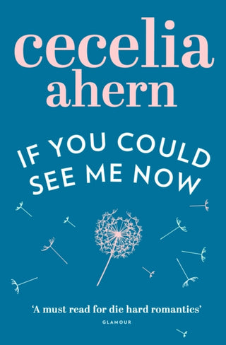 Cover image for 9780007260812 - If You Could See Me Now