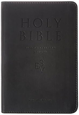 Cover image for 9780007263134 - Holy Bible
