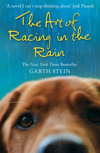 Cover image for 9780007281190 - The Art of Racing in the Rain