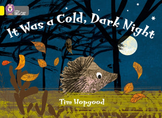 Cover image for 9780007329229 - It Was a Cold Dark Night