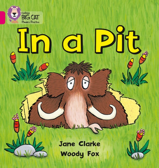 Cover image for 9780007334889 - In a Pit