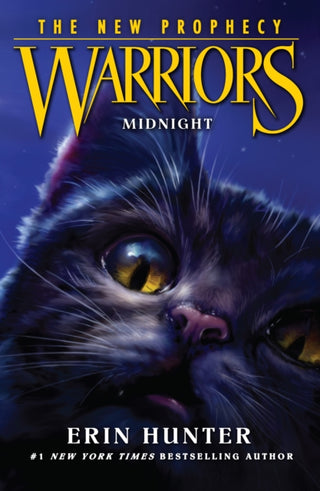 Cover image for 9780007419227 - MIDNIGHT