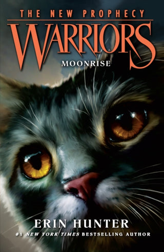 Cover image for 9780007419234 - MOONRISE