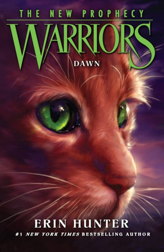 Cover image for 9780007419241 - DAWN