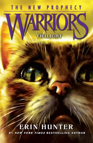 Cover image for 9780007419265 - TWILIGHT