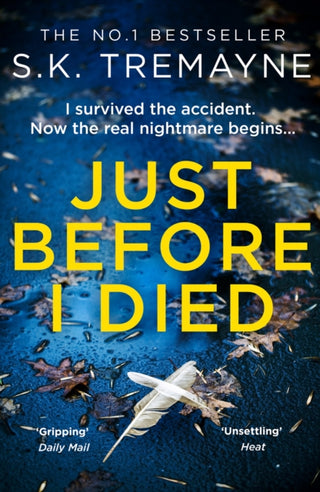 Cover image for 9780008105914 - Just Before I Died