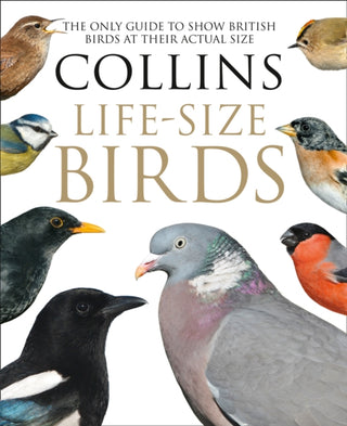 Cover image for 9780008181116 - Collins Life-Size Birds