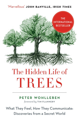 Supplemental image for 9780008218430 - The Hidden Life of Trees