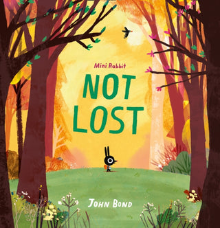 Cover image for 9780008264840 - Mini Rabbit Not Lost