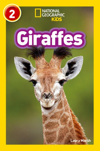 Cover image for 9780008266639 - Giraffes