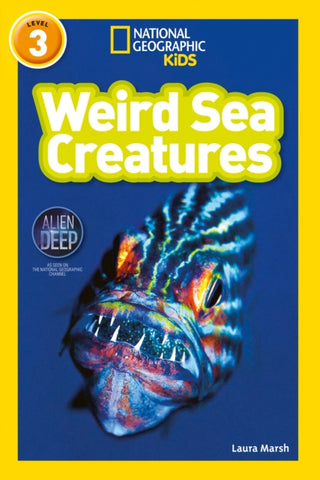 Supplemental image for 9780008266721 - Weird Sea Creatures