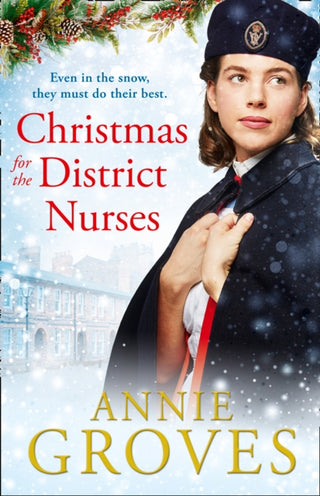 Cover image for 9780008272272 - Christmas for the District Nurses