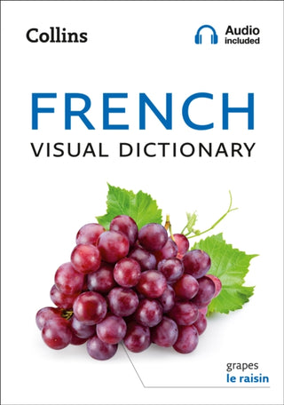 Cover image for 9780008290313 - French Visual Dictionary