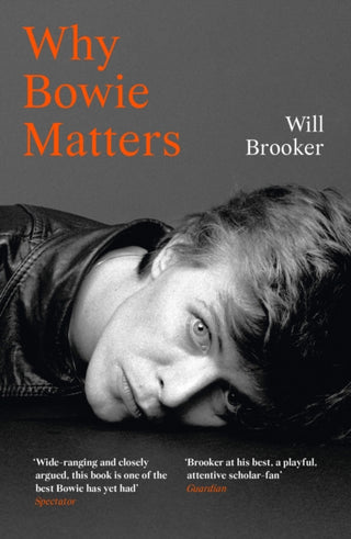 Cover image for 9780008313753 - Why Bowie Matters