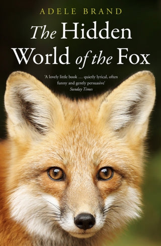 Cover image for 9780008327316 - The Hidden World of the Fox