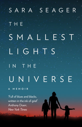 Cover image for 9780008328283 - The Smallest Lights In The Universe