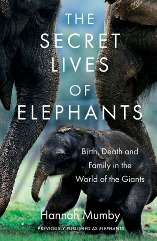 Supplemental image for 9780008331719 - The Secret Lives of Elephants