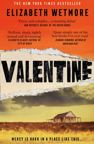 Cover image for 9780008331962 - Valentine