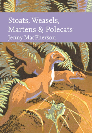 Cover image for 9780008334932 - Stoats, Weasels, Martens and Polecats